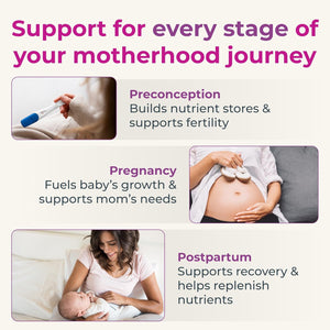 Prenatal Vitamins for Women with Folate, Iron, Methyl B12, and Probiotics – 60 Vegan Capsules